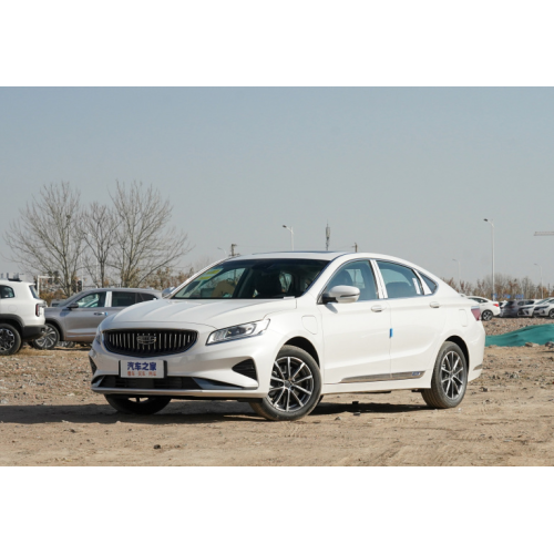 geely borui ev voiture electrique adulte carros veicoli per adulti adulti eec elettrico auto